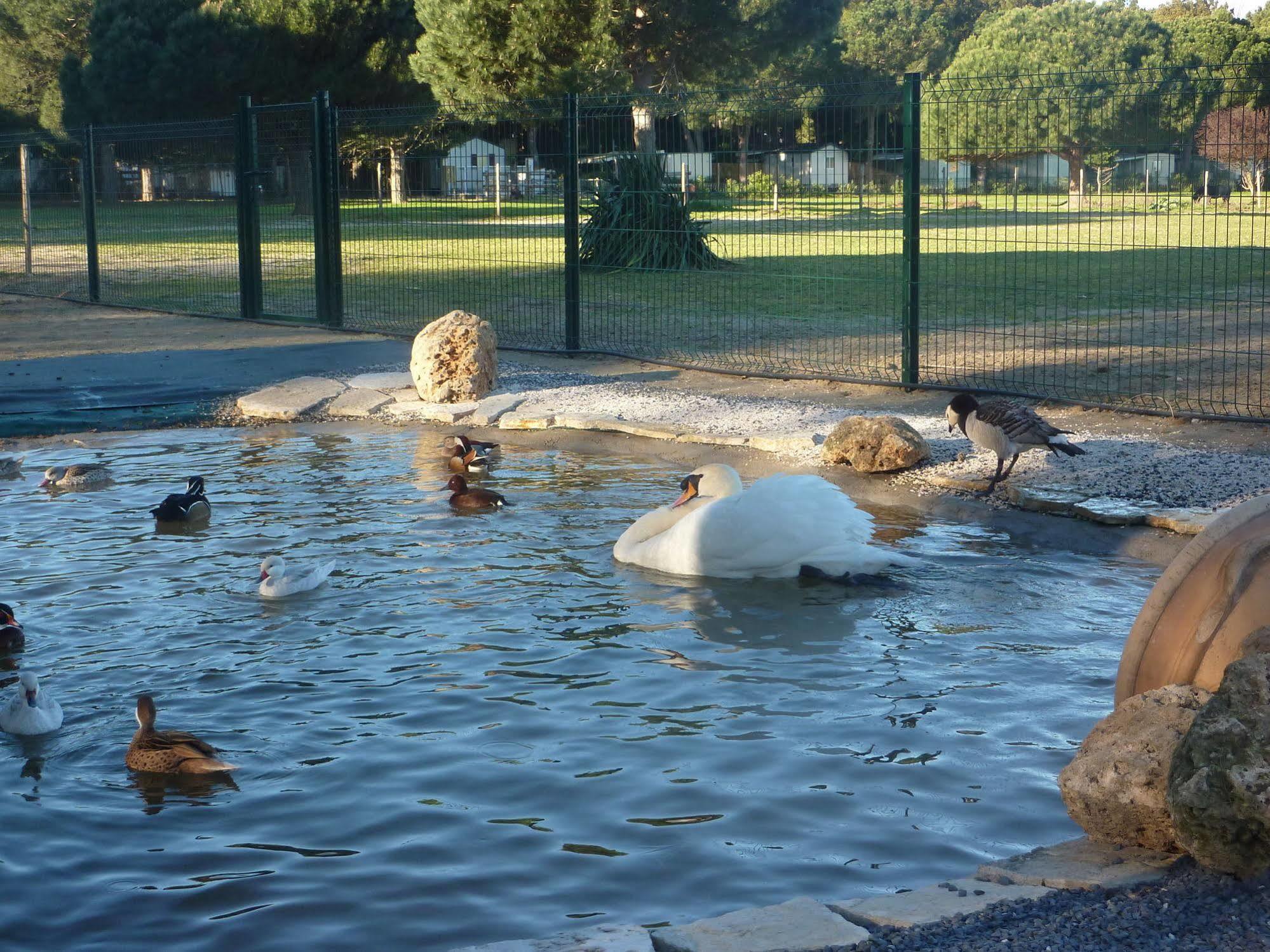 Camping Le Sainte Marie Bagian luar foto